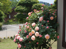 河口湖木の花美術館