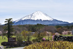 富士山なるさわ広場