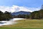 富士山芝生残雪