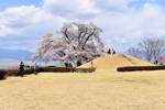 ゴルフ桜河口湖